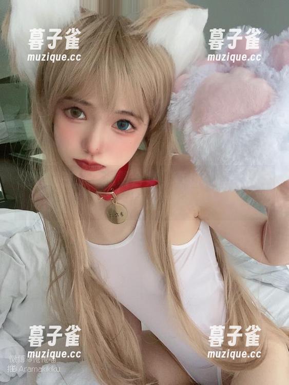 倦倦喵 倦倦喵在线:透明合集,真相和谎言的无间道