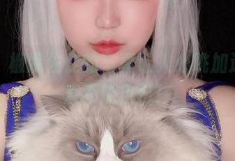 加贺，椒妮佐仁的写真让人心跳加速，简直不能自已！
