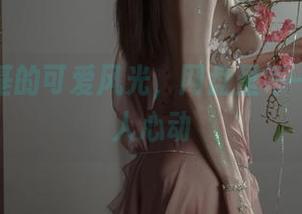 秋和柯基的可爱风光，网盘里每一张都让人心动