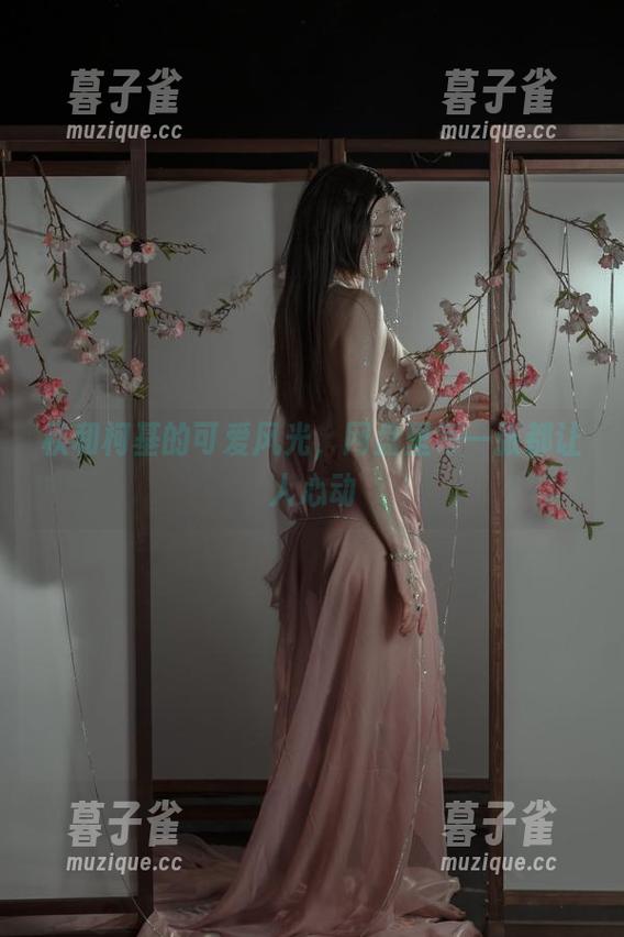 秋和柯基 秋和柯基的可爱风光,网盘里每一张都让人心动